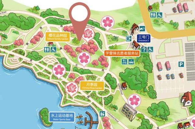 春夜樱花别有风情！上海樱花节首日迎来1万多名游客，首个夜晚人少景美两相宜，首个赏樱指数出炉