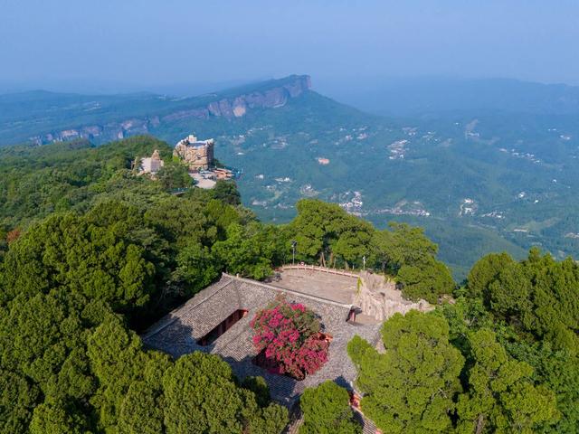 满树繁花！四川剑门关1500年紫薇古树 迎数十年最盛花期