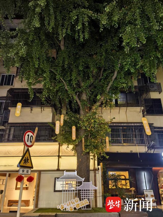 双节盛宴！镇江京口区水陆寺巷文化商业街区焕新