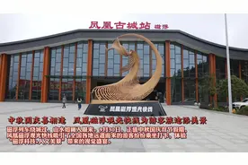 中秋国庆喜相逢  凤凰磁浮观光快线为游客旅途添美景图片