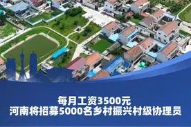 每月工资3500元 河南将招募5000名乡村振兴村级协理员图片