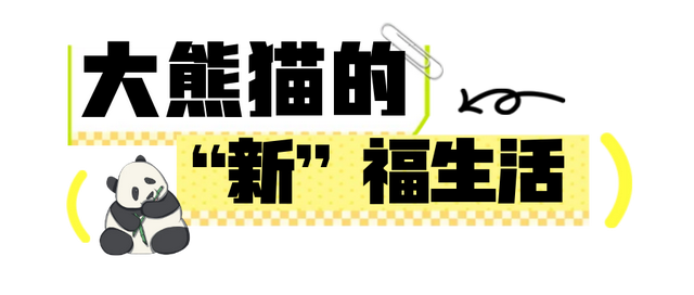 欢迎来到熊猫的家！保姆级攻略请收好！