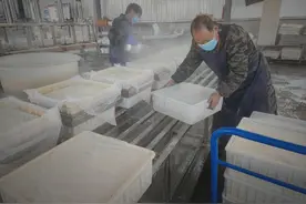 小小豆腐坊“磨”出致富路图片