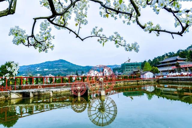 中医药融入健康旅游，广元市这些中医药健康旅游精品路线等你来（苍溪篇）