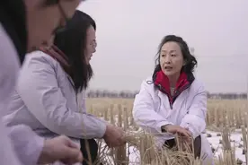 中国饭碗 东北粮仓丨在辽全国人大代表张艳：智慧农业让“会种田”升级为“慧种田”图片