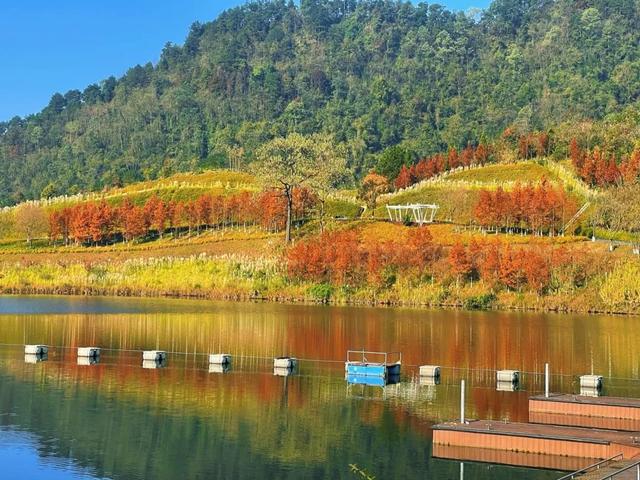 现在的黔南，已经美成这样了→