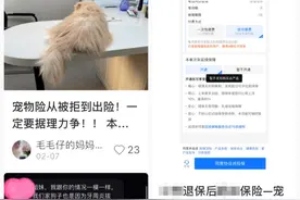 手把手带你走完宠物医保使用全流程，看完后报销再也不用愁！｜消保委亲测图片