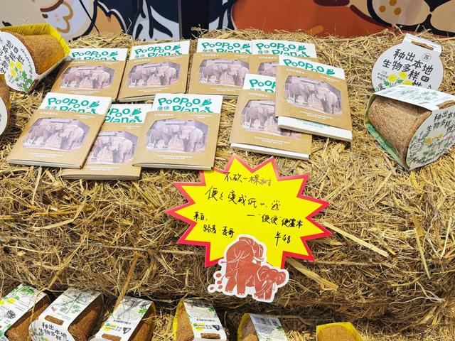 长三角文博会｜文创爱好者逛展指南，打卡专属于你的“文博记忆”