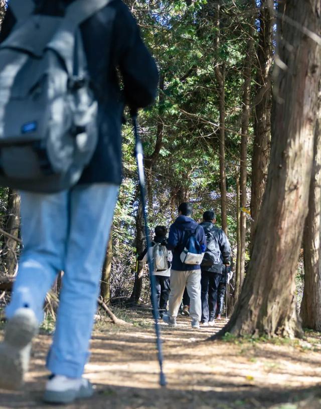 Hi走奉化③ | 拿下最高峰！蜘蛛岭古道虽累，但这秋色值了！