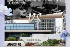 买新不买旧，新房选诚园！图片