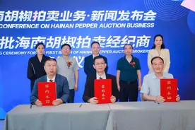 海南拟启动胡椒拍卖业务，助力农业高质量发展图片