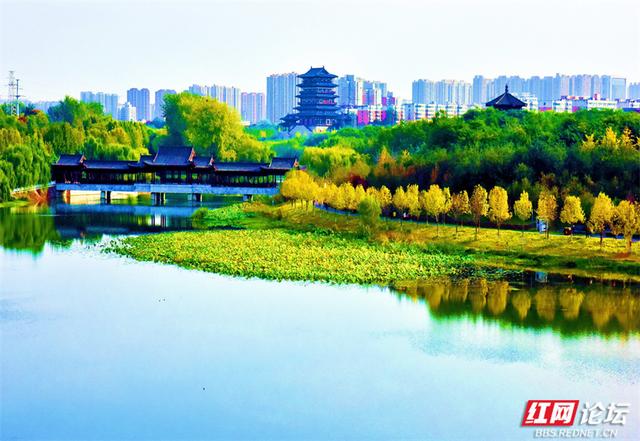 秋游时刻丨一条线路，三种景致：我拍下了郑州最诗意的秋天