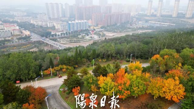 打卡指南！阳泉这些公园美成童话世界！