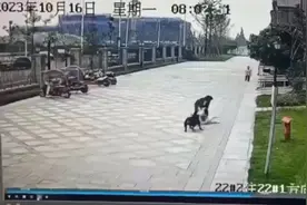 成都咬伤2岁女童的狗及其主人被控制，犬主并非涉事小区业主，狗打过疫苗图片