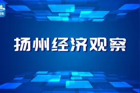 【扬州经济观察】密码：11322图片