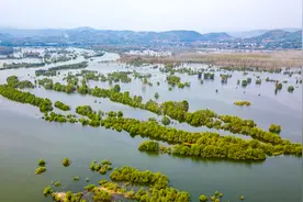 一库碧水的淅川担当图片