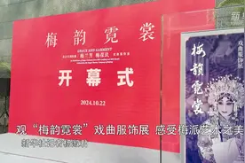 从戏曲服饰感受梅派艺术之美图片