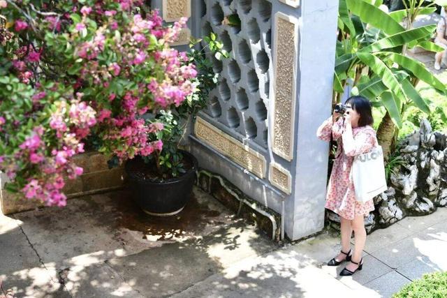 紫薇花开，来昆明邂逅夏日浪漫~