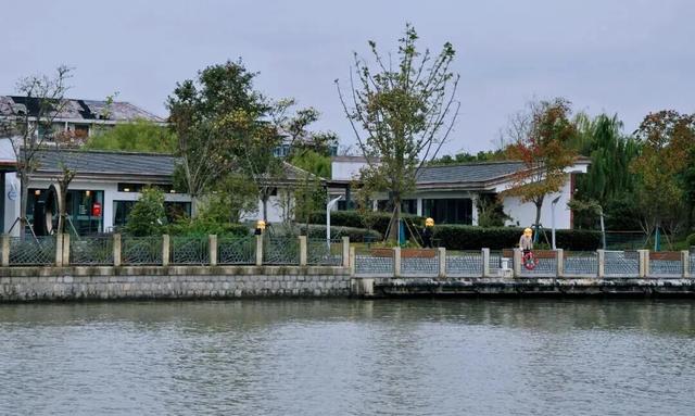 四季流转，青浦这座公园的颜值从来不掉线！