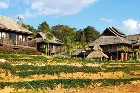 勐海童话｜马原：布朗人贝玛图片