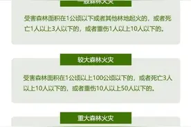 森林防火正当时，记住这些要点！图片