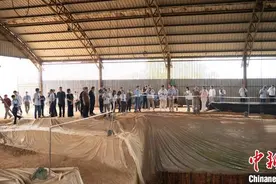 吴城遗址发现五十周年：考古专家学者齐聚江西樟树研讨交流图片