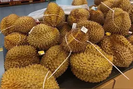 29.9元一斤，榴莲大量上市，预计价格还会再降 | 新黄河探市图片