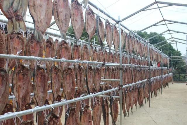 玩转西施跨年音乐节！吃喝玩乐，收藏这篇就够了→