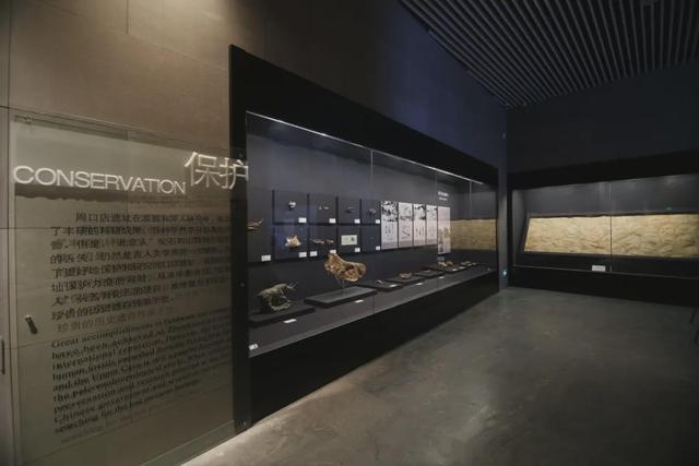 博物风情 | 在周口店遗址，遇见课本之外的历史