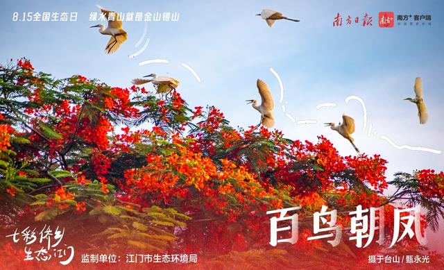 系列海报｜七彩侨乡，生态江门