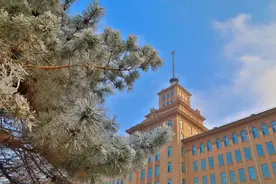 哈工大毕业生都去哪了？图片