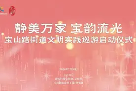 宝山路街道2024年社区文明巡游启动图片