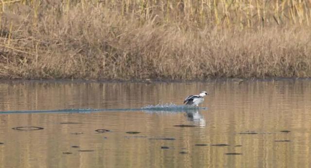 无锡最新追“星”指南，速收藏！
