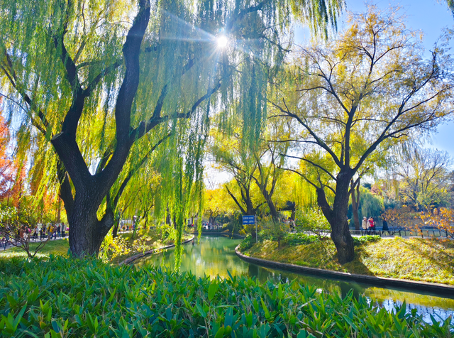 太美了！漫步南长河，邂逅满途风光