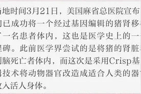 世界首例！猪肾首次成功移植到活人体内，后续有多道难关尚待突破图片