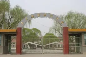 刘敬君：梦里桃花源图片