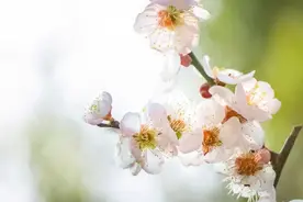 10步拍打操，疏通全身经脉图片