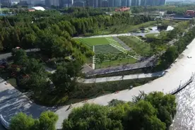 来前滩宝藏草坪，尽享初夏悠闲时光图片