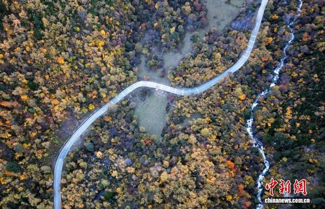 四川甘孜州木格措景区秋景如画