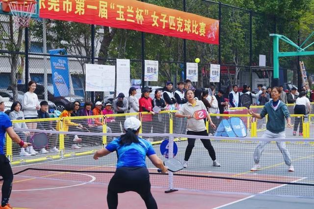 遛娃有更多选择！东莞新公园、超美碧道齐亮相→