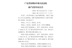 深圳退休夫妻月入1.2万元，负债1.2亿元？图片