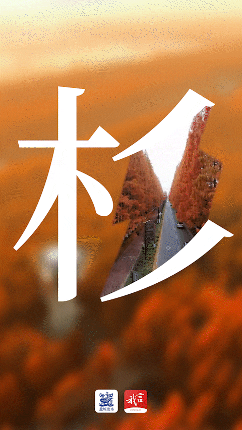 美翻了！大批盐城人出动！