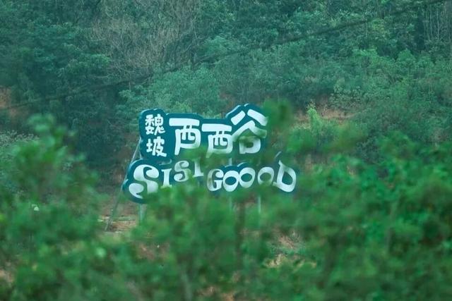 免票/半价/折扣...双节洛阳优惠政策来了！