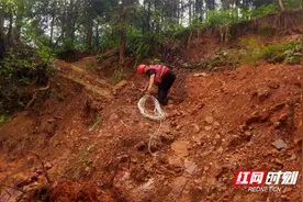 怀化铁塔：筑牢防汛通信“生命线”，保障网络畅通无阻图片