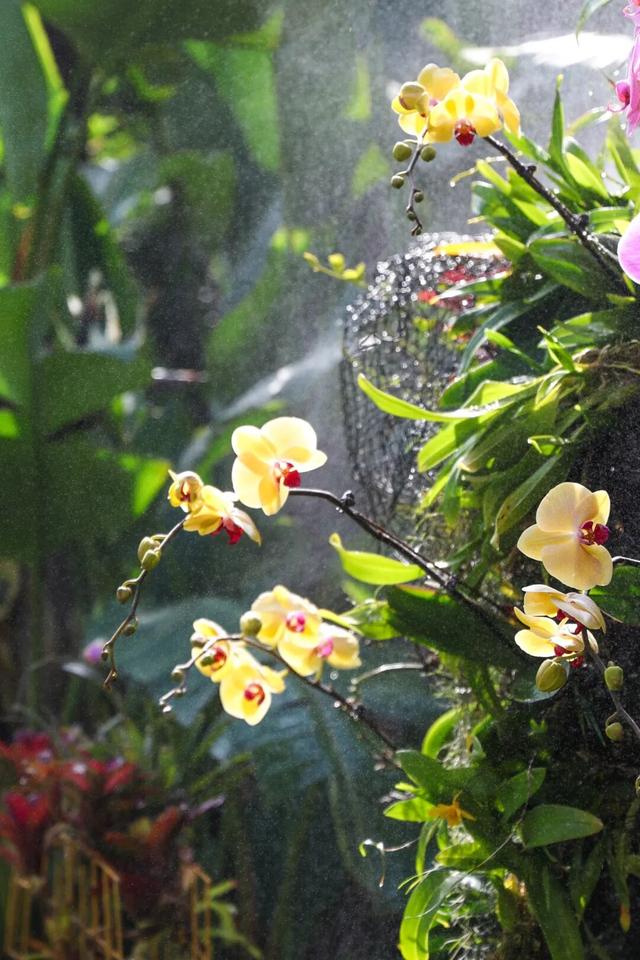 这么近，那么美！