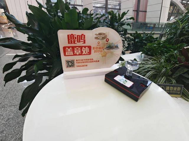 月满京城，站站生花！“七站两场”中秋打卡指南来了！
