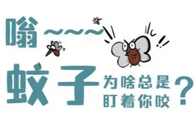 科普漫画 | 嗡~~~蚊子为啥总盯着你咬？图片