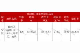 溢价20.83% 绿城斩获宁波高新区低密宅地图片