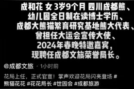 大熊猫“花花”当上了“局长”，文旅如此卖“萌”喜闻乐见图片