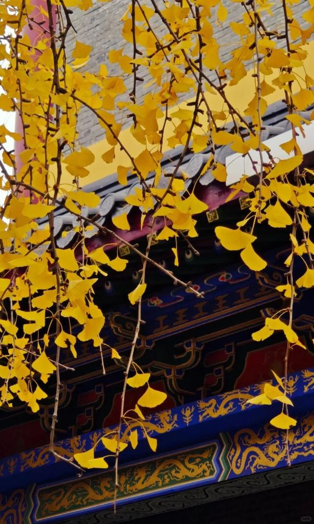 当代人需要的情绪价值，镇江给你！